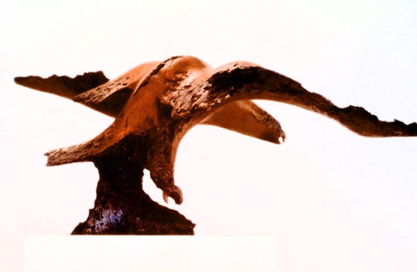 Eagle 1, Bronze