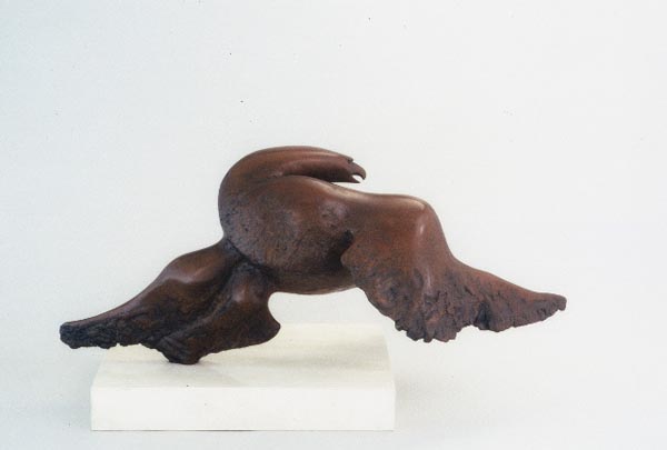 Eagle 7, Bronze